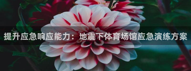 尊龙凯时官网首页