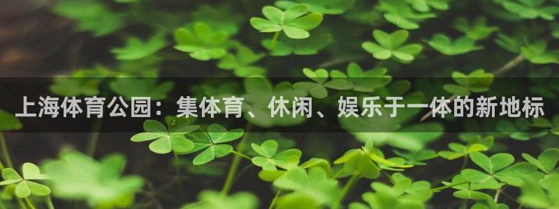 尊龙ag旗舰官网