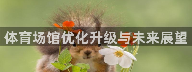 尊龙凯时代理佣金发不发