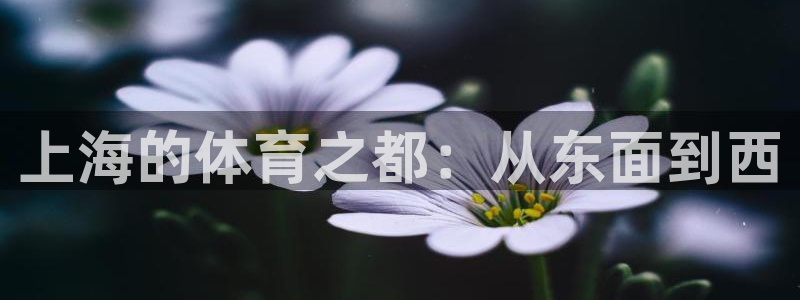 尊龙凯时城娱乐