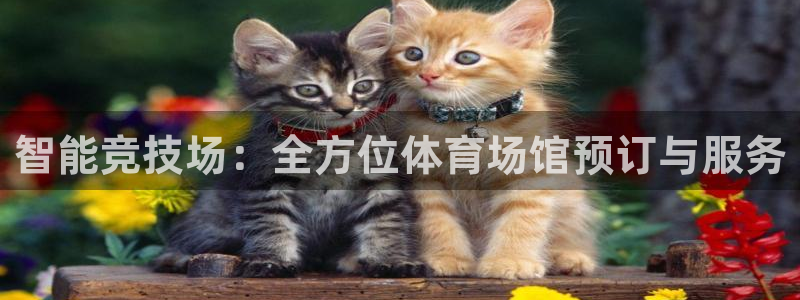 尊龙app下载官网