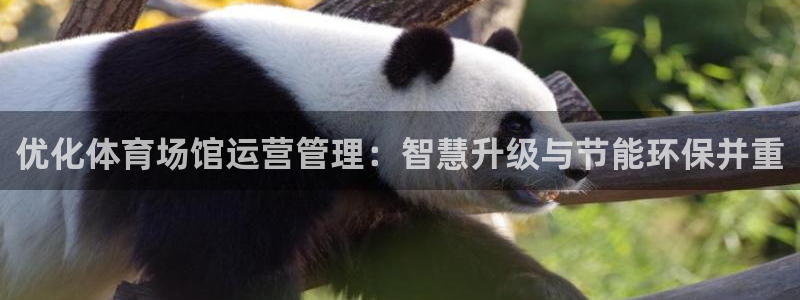 尊龙凯时平台不给出款怎么办