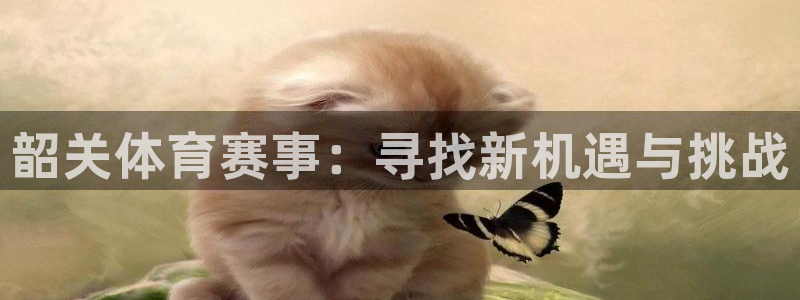 凯时AG网