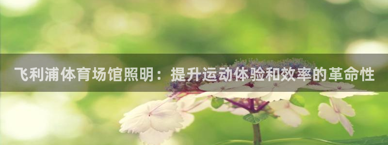 凯时国际app首页登录入口：飞利浦体育场馆照明：提升运动体验