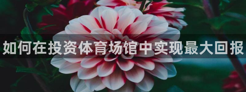 尊龙长相评价：如何在投资体育场馆中实现最大回报