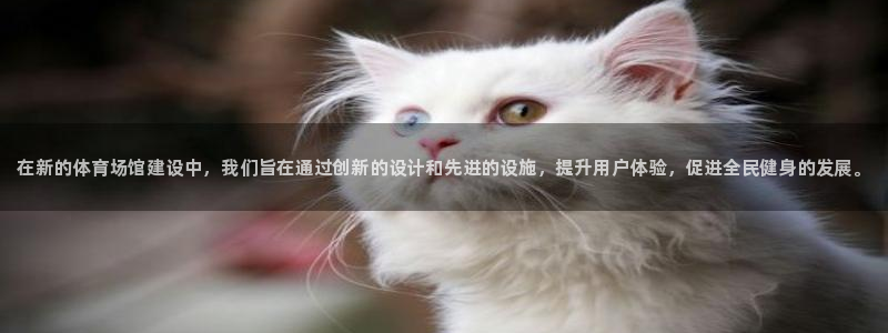 尊龙凯时出款