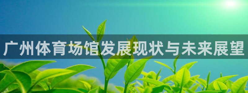 凯时官网下载客户端