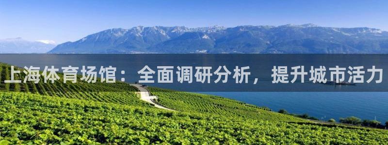 尊龙人生就是博旧版网址：上海体育场馆：全面调研分析，提升城市