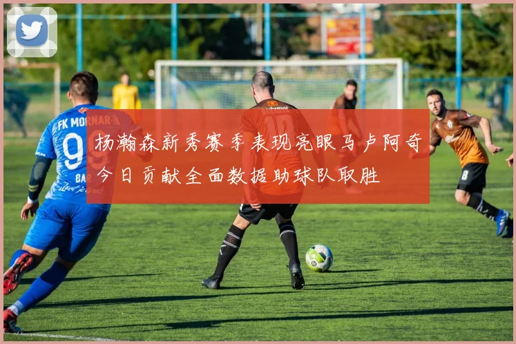 杨瀚森新秀赛季表现亮眼马卢阿奇今日贡献全面数据助球队取胜
